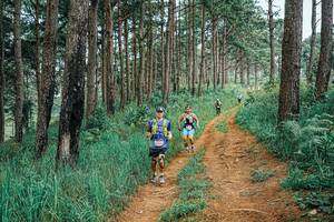 BIB: 
                            <button type="button" onclick="openModal(25661671)" class="btn btn-primary btn-sm float-right btn-popup" data-toggle="modal" data-target=".modal-high-quality">
                        <i class="fas fa-shopping-cart"></i> Add to Cart
                    </button>
                                            <button type="button" onclick="isThisMe(25661671, true)" class="btn btn-success btn-sm float-right btn-popup btn-isme hidden" data-toggle="tooltip" data-placement="bottom" title="นี่คือรูปของคุณใช่ไหม คลิกที่นี่เพื่อเอาเข้าอัลบั้ม">
                        <i class="fas fa-plus"></i> Add to album
                    </button>
                    <button type="button" onclick="isThisMe(25661671, false)" class="btn btn-warning btn-sm float-right btn-popup btn-isnotme hidden">
                        <i class="fas fa-ban"></i> Remove from album
                    </button>